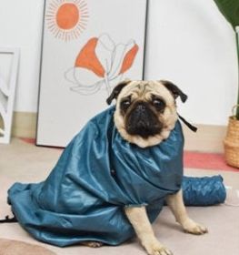 Automatic Drying Bag With Quick Drying Hair Dryer For Bathing (Option: L-Blue)
